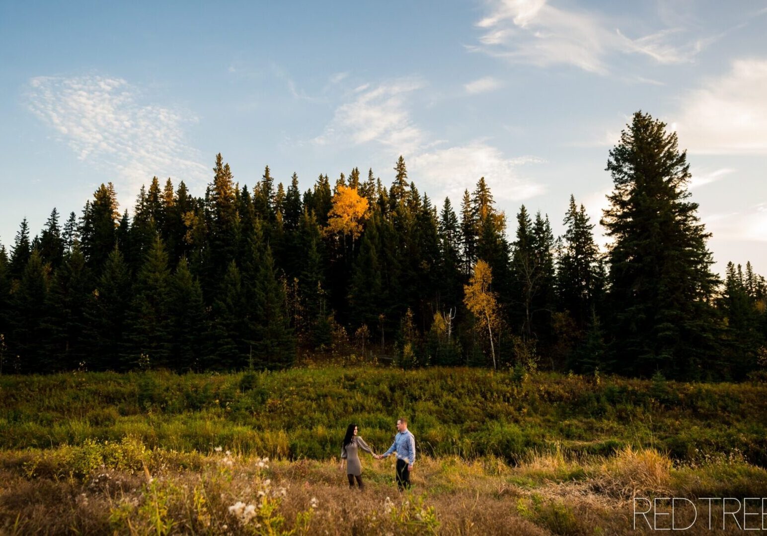 MacTaggart_sanctuary_Trail_Engagement_Photography127