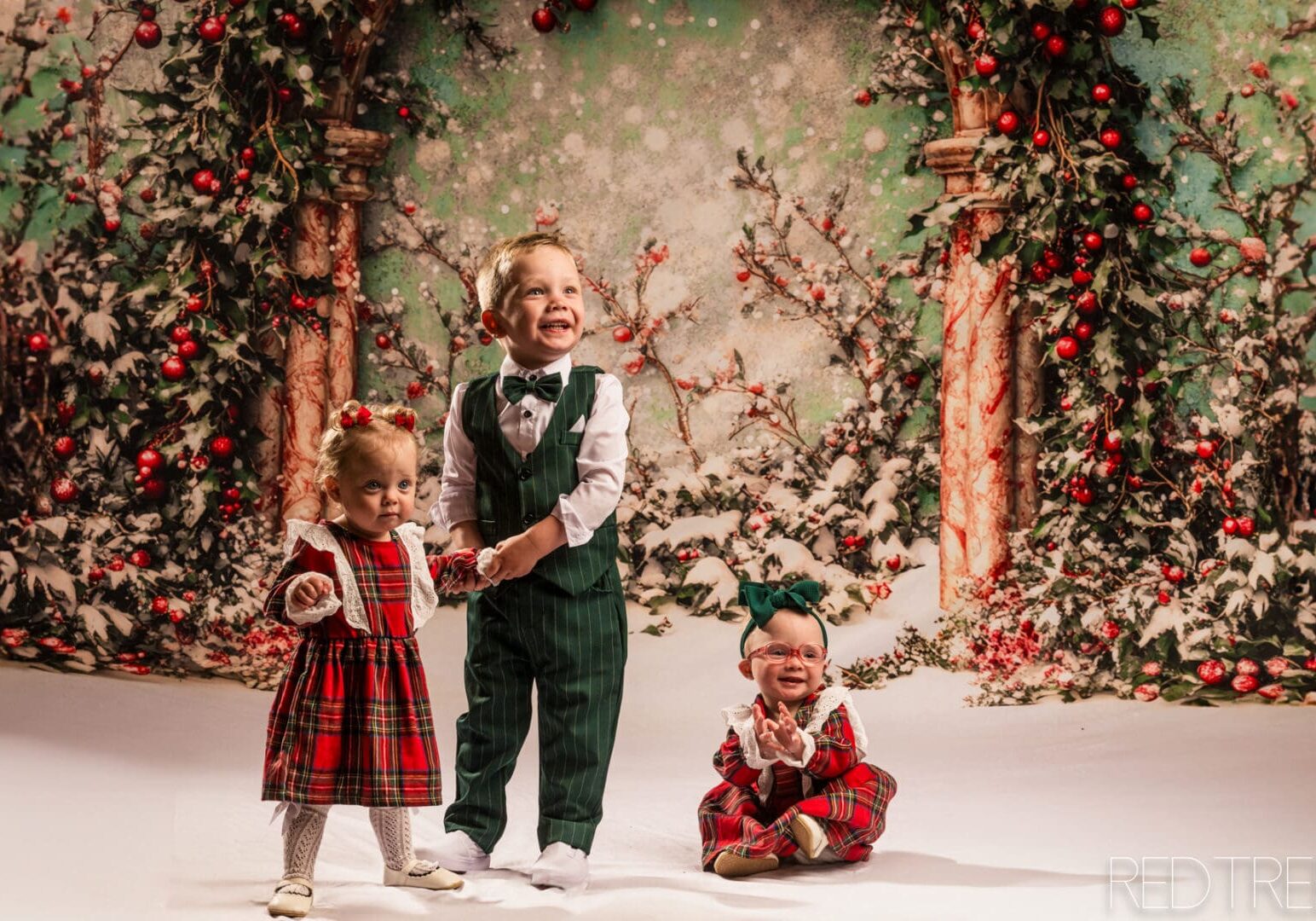 Sherwood_Park_Studio_Christmas_minis5