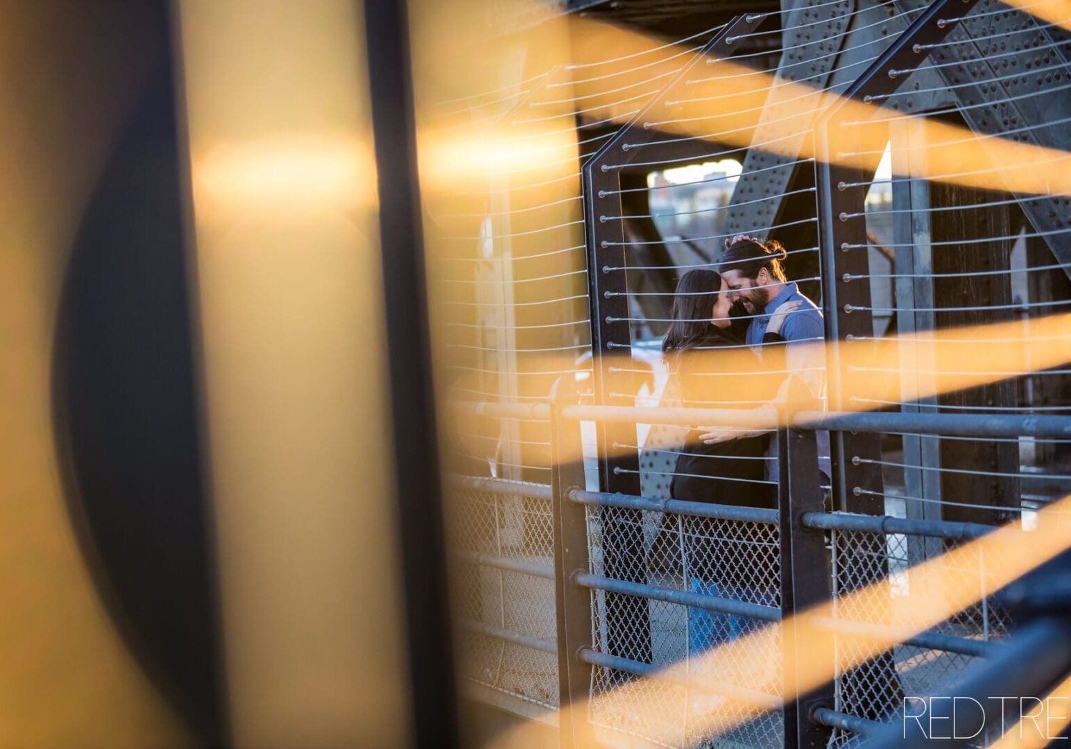 edmonton_legislature_building_winter_engagement177