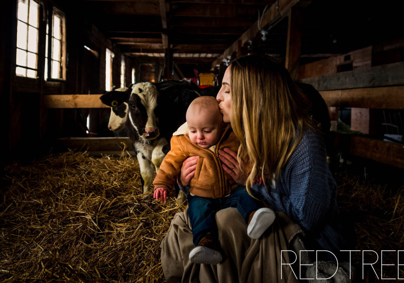 farm_family_photos_red_barn27-1-1