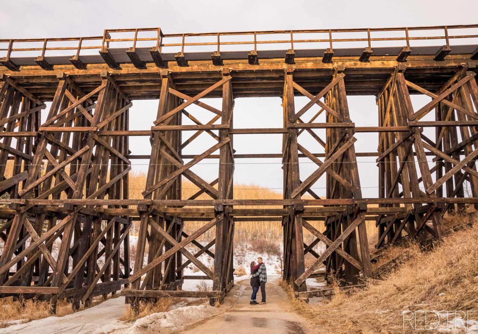 winter_camrose_engagement_session193